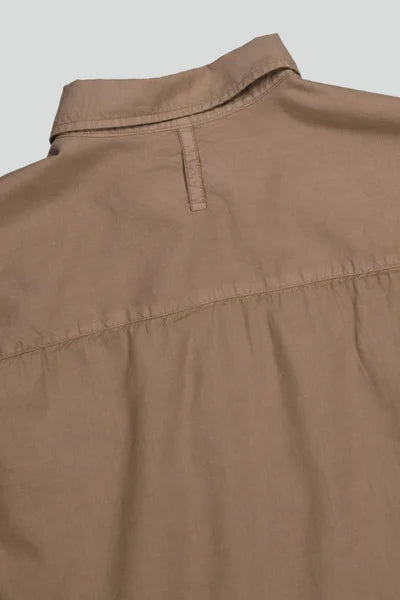 Arne BD 5655 (Shitake)