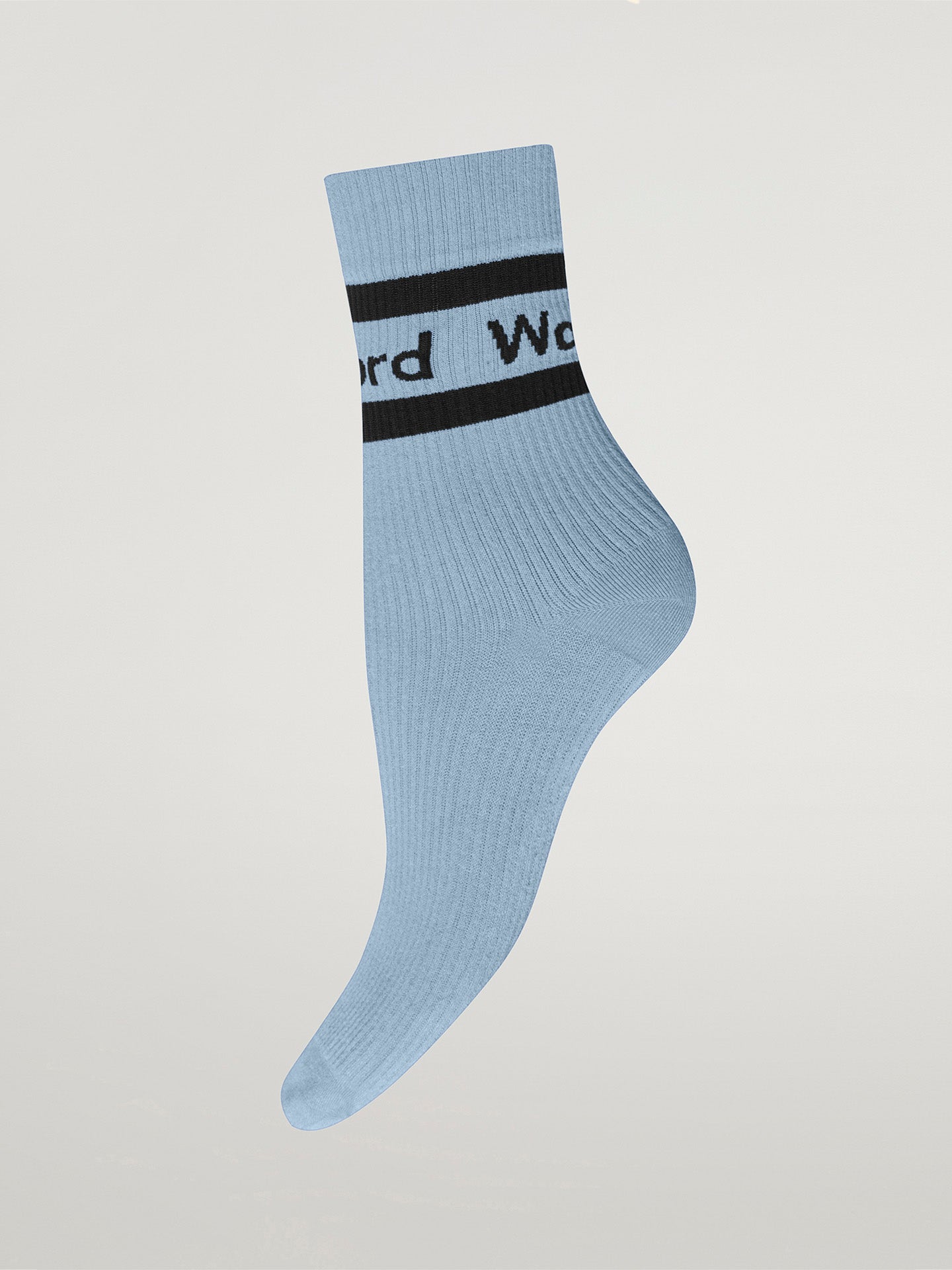 Logo Rib Socks (ice/black)