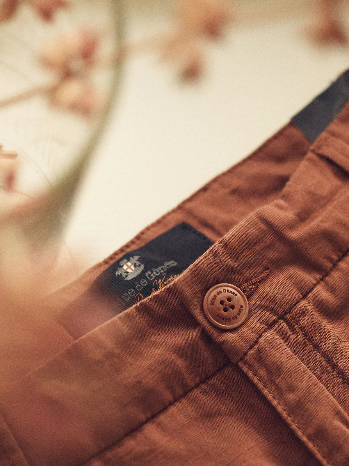 Bravuomo Gordo chino, brownish