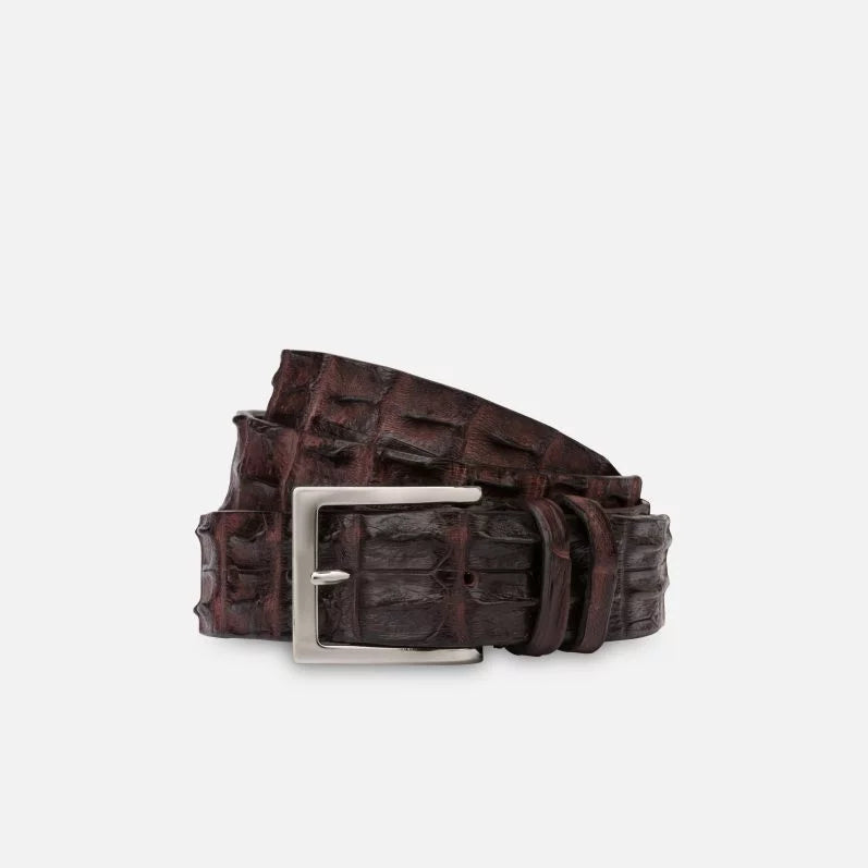 Vero Coccodrillo Belt, Testa Moro