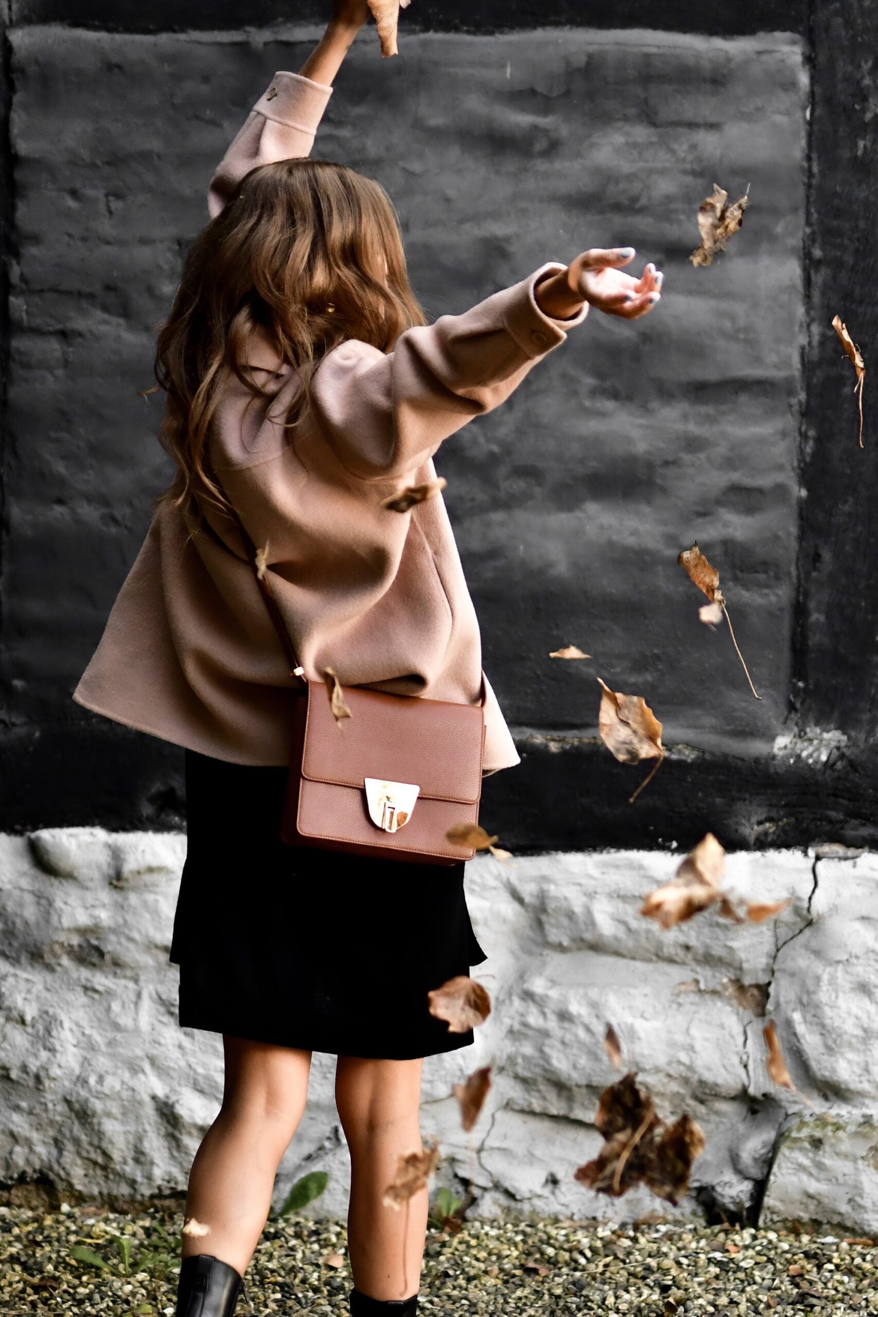 Coccinelle Nico, Brule