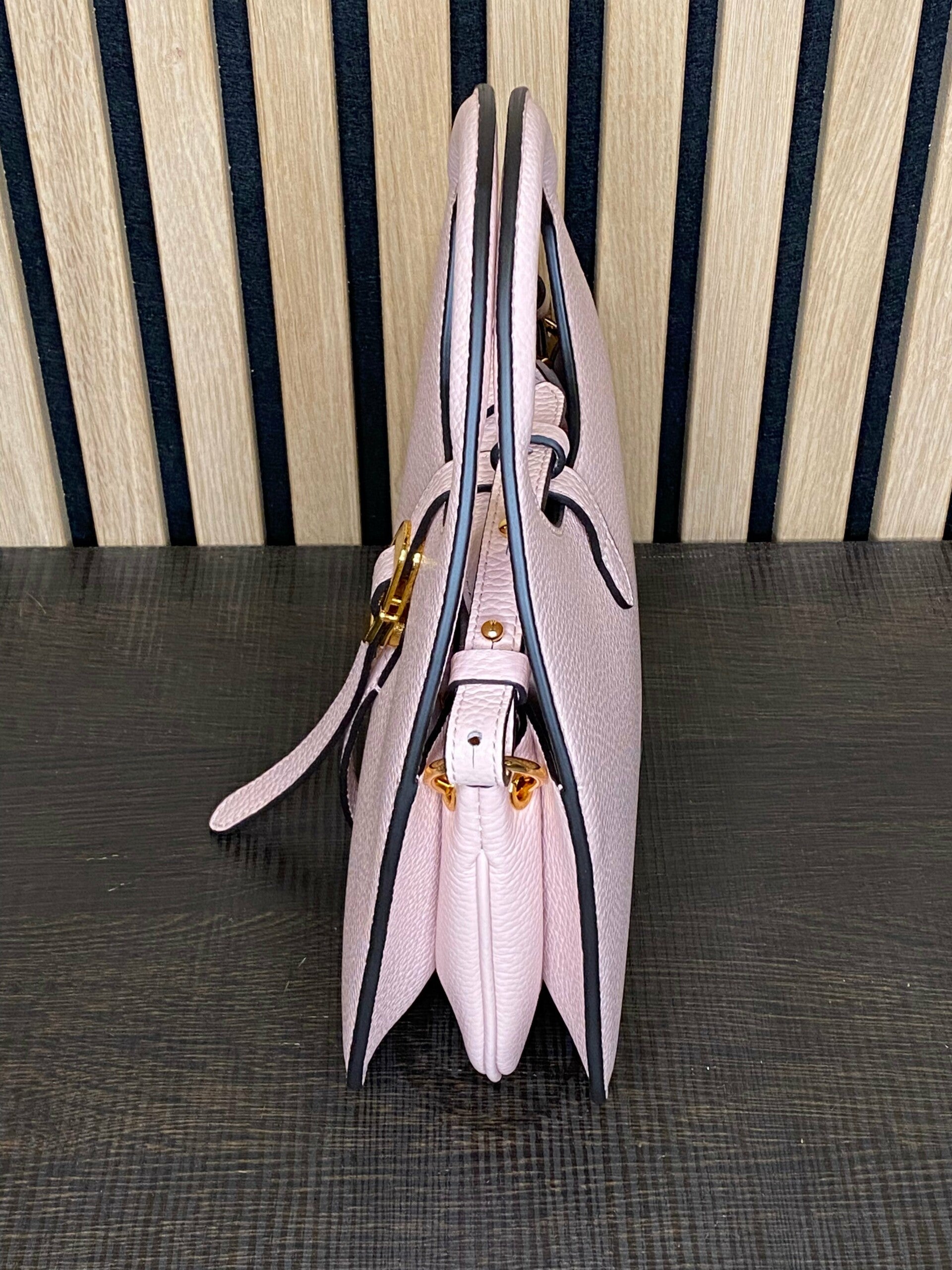 Coccinellecosima small, new pink