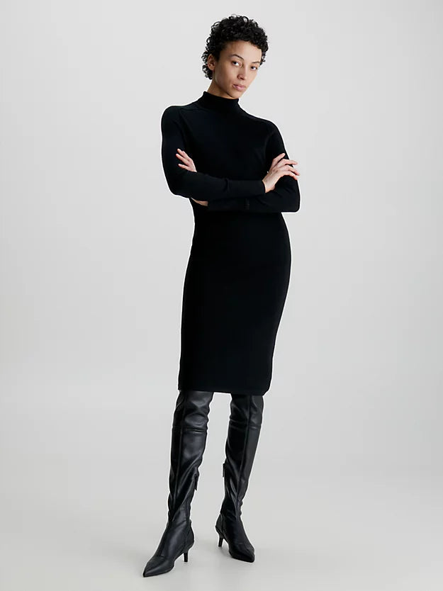 Extra Fine Wool High-NK Dress (black)